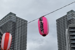 IMG_3951_17