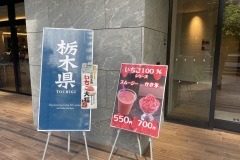 IMG_4957_40